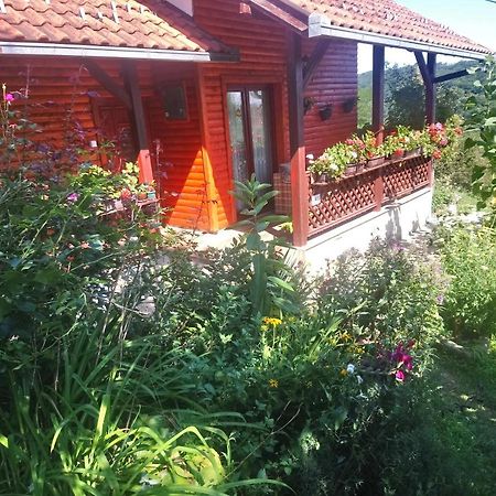 Guest house Little Heaven Užice Extérieur photo