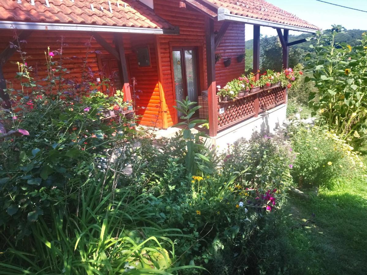 Guest house Little Heaven Užice Extérieur photo